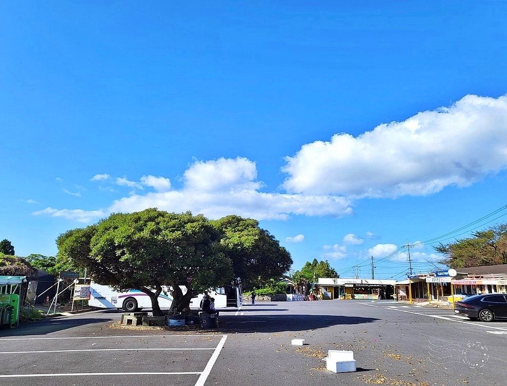 濟州島【神奇之路】停車場