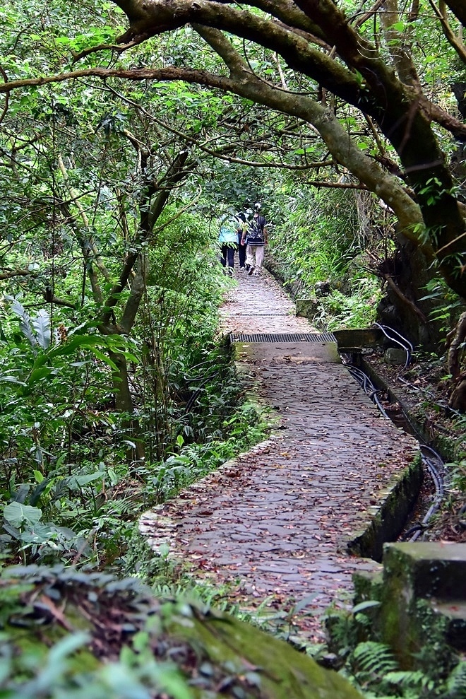 【猴洞坑瀑布】步道
