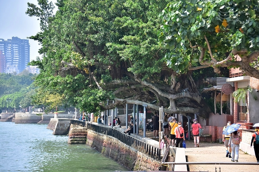 淡水榕堤 淡水榕堤