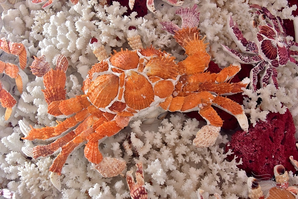 【石門珊瑚貝殼廟】