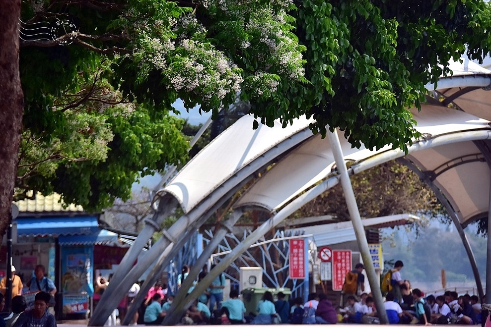 淡水渡船頭 淡水渡船頭