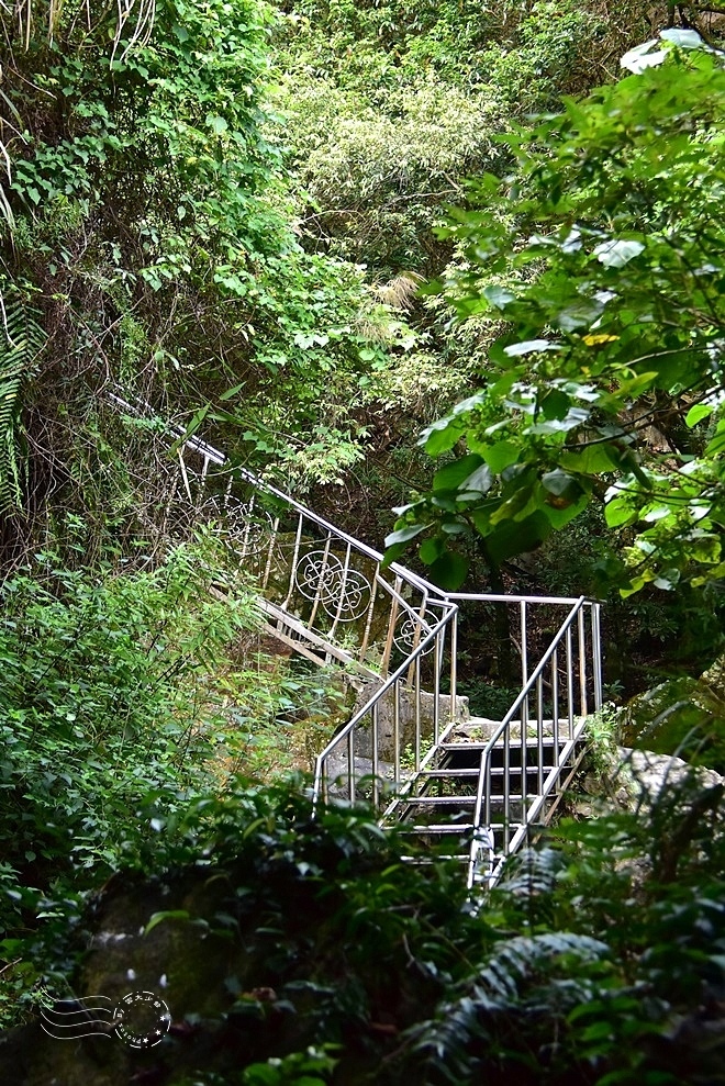 【猴洞坑瀑布】鐵梯