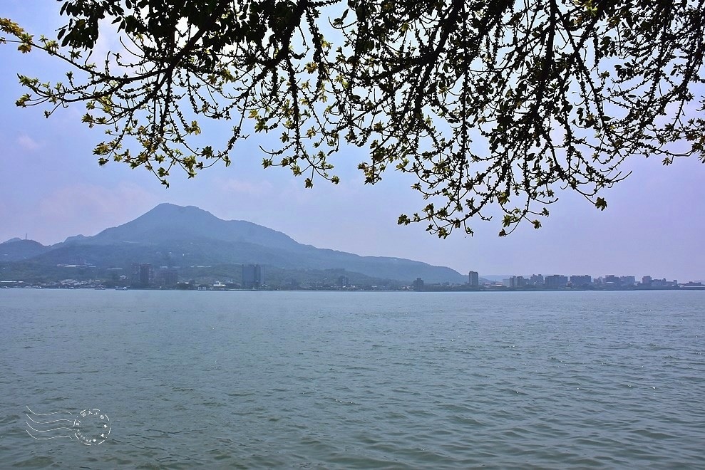 淡水榕堤 淡水榕堤