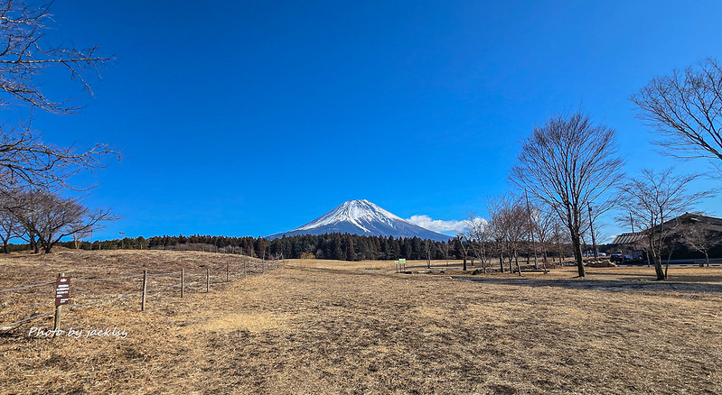 20250131_130052 20250131_130052