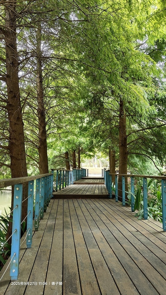 2025桃園長庚養生村落羽松最新現況分享，9/27現場直擊，
