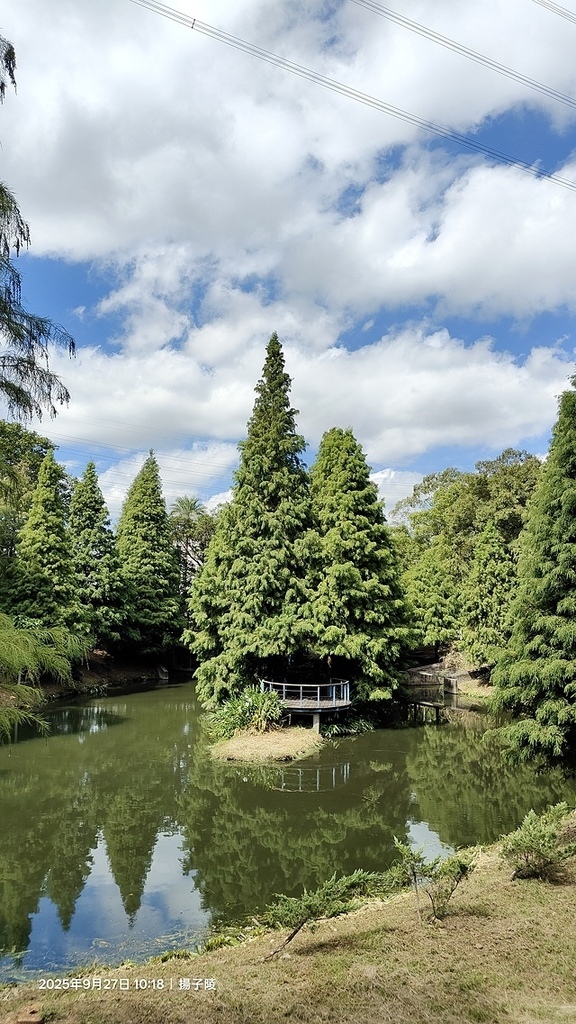 2025桃園長庚養生村落羽松最新現況分享，9/27現場直擊，