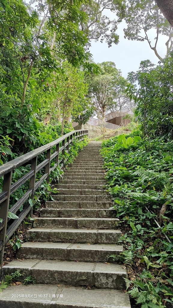 2025台北療癒步道⇨劍潭山親山步道⇨森林方舟(觀音山觀景平 2025台北療癒步道⇨劍潭山親山步道⇨森林方舟(觀音山觀景平