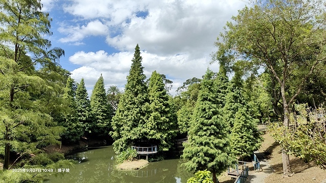 2025桃園長庚養生村落羽松最新現況分享，9/27現場直擊，