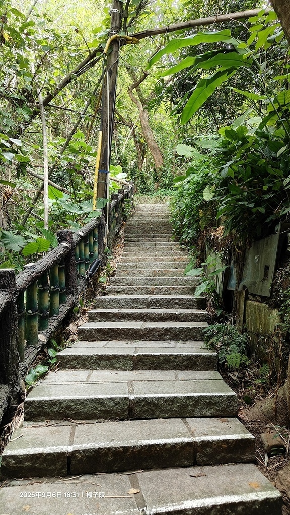 2025台北療癒步道⇨劍潭山親山步道⇨森林方舟(觀音山觀景平 2025台北療癒步道⇨劍潭山親山步道⇨森林方舟(觀音山觀景平