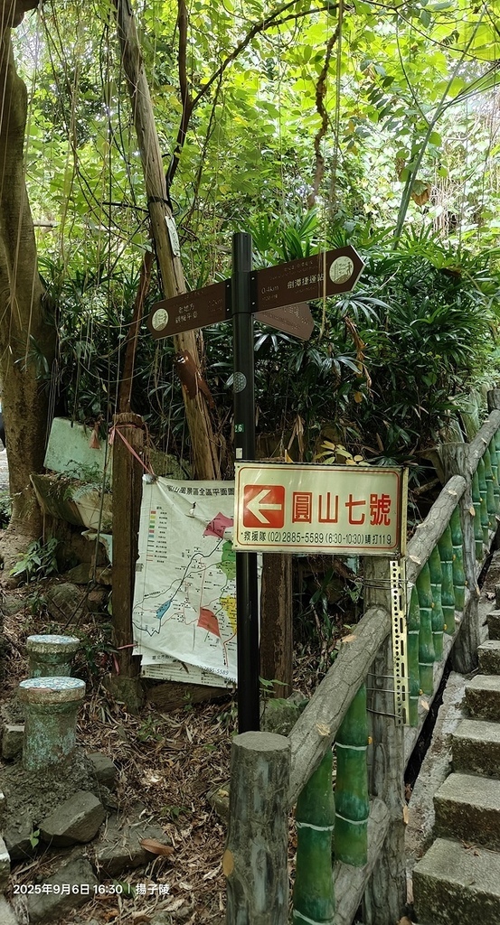 2025台北療癒步道⇨劍潭山親山步道⇨森林方舟(觀音山觀景平 2025台北療癒步道⇨劍潭山親山步道⇨森林方舟(觀音山觀景平