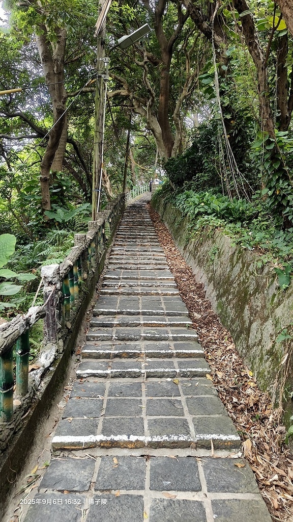 2025台北療癒步道⇨劍潭山親山步道⇨森林方舟(觀音山觀景平 2025台北療癒步道⇨劍潭山親山步道⇨森林方舟(觀音山觀景平