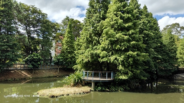 2025桃園長庚養生村落羽松最新現況分享，9/27現場直擊，