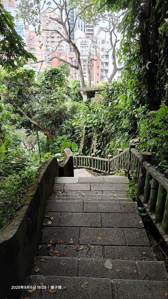 2025台北療癒步道⇨劍潭山親山步道⇨森林方舟(觀音山觀景平 2025台北療癒步道⇨劍潭山親山步道⇨森林方舟(觀音山觀景平