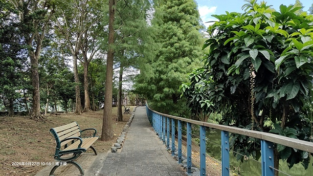 2025桃園長庚養生村落羽松最新現況分享，9/27現場直擊，