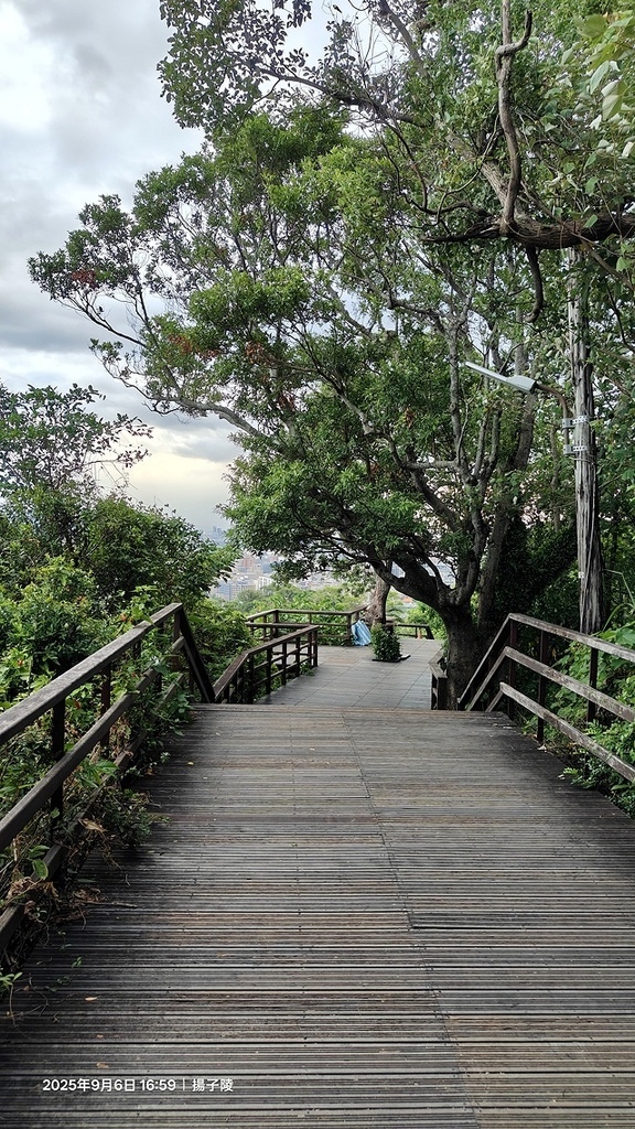 2025台北療癒步道⇨劍潭山親山步道⇨森林方舟(觀音山觀景平 2025台北療癒步道⇨劍潭山親山步道⇨森林方舟(觀音山觀景平