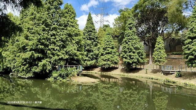 2025桃園長庚養生村落羽松最新現況分享，9/27現場直擊，