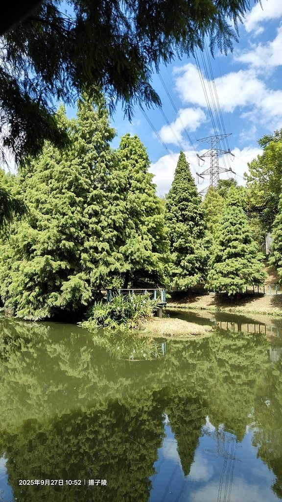 2025桃園長庚養生村落羽松最新現況分享，9/27現場直擊，