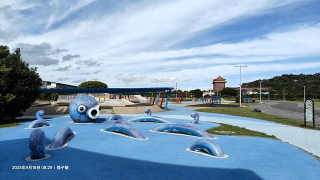 2025大佳河濱公園向日葵花海，9/18花況直擊🌸，向日葵海