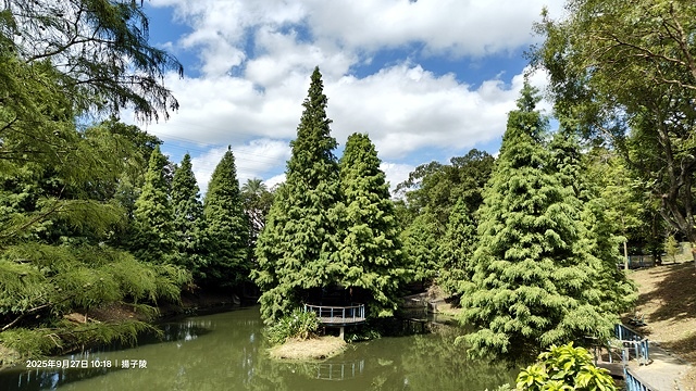 2025桃園長庚養生村落羽松最新現況分享，9/27現場直擊，