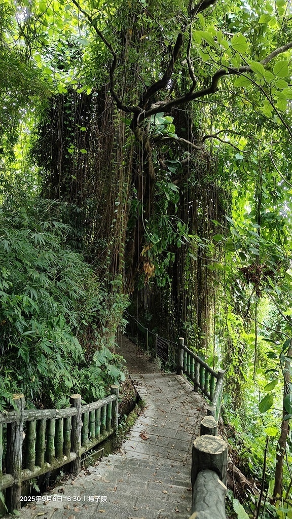 2025台北療癒步道⇨劍潭山親山步道⇨森林方舟(觀音山觀景平 2025台北療癒步道⇨劍潭山親山步道⇨森林方舟(觀音山觀景平