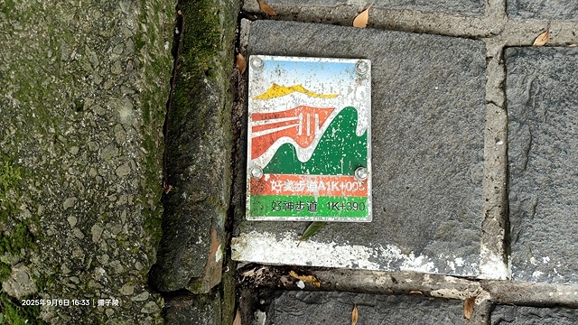 2025台北療癒步道⇨劍潭山親山步道⇨森林方舟(觀音山觀景平 2025台北療癒步道⇨劍潭山親山步道⇨森林方舟(觀音山觀景平