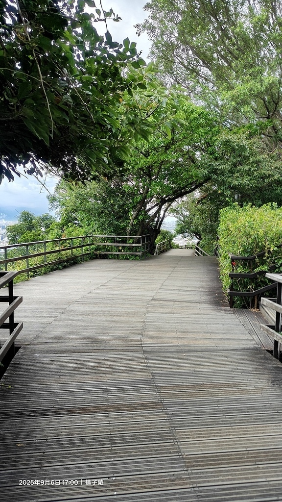 2025台北療癒步道⇨劍潭山親山步道⇨森林方舟(觀音山觀景平 2025台北療癒步道⇨劍潭山親山步道⇨森林方舟(觀音山觀景平