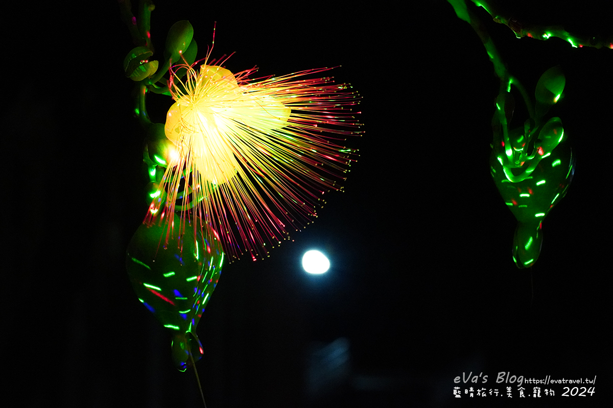 屏東縣琉球鄉【小琉球活動】夜間生態導覽｜觀星、紫地蟹、愛情鳥、棋盤腳花開體驗。小琉球旅行