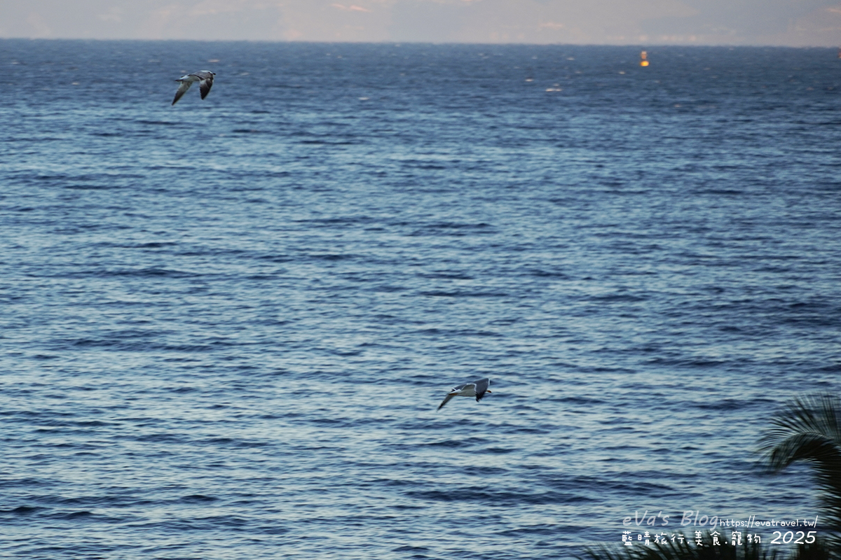 土耳其【土耳其蜜月旅遊】Le Bleu Hotel & Resort 庫薩達斯藍色酒店及度假村｜希臘式海濱度假體驗，一覺醒來擁抱愛琴海。土耳其住宿