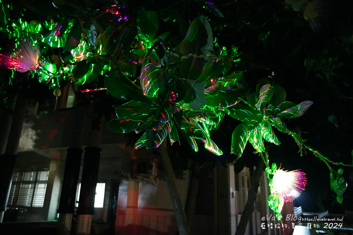 屏東縣琉球鄉【小琉球活動】夜間生態導覽｜觀星、紫地蟹、愛情鳥、棋盤腳花開體驗。小琉球旅行