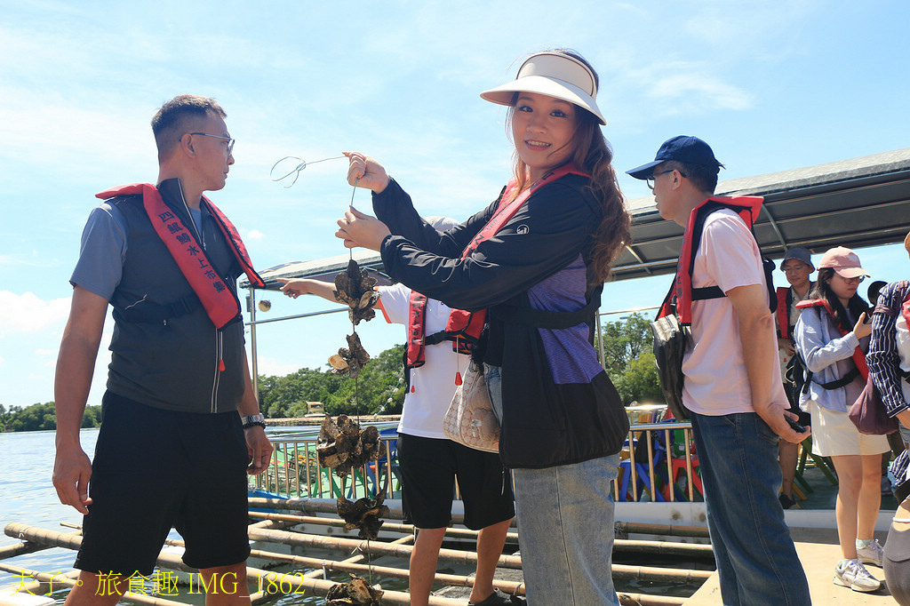四鯤鯓紅樹林生態遊船 紅樹林生態 X 養蚵產業 X 安平商港