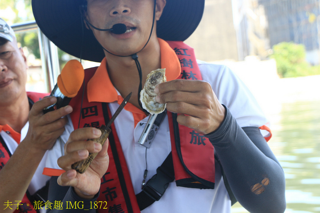 四鯤鯓紅樹林生態遊船 紅樹林生態 X 養蚵產業 X 安平商港