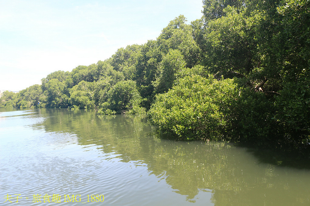 四鯤鯓紅樹林生態遊船 紅樹林生態 X 養蚵產業 X 安平商港