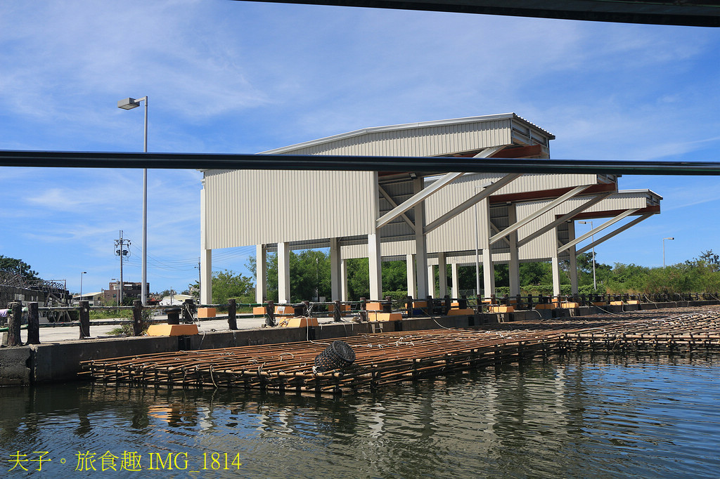 四鯤鯓紅樹林生態遊船 紅樹林生態 X 養蚵產業 X 安平商港