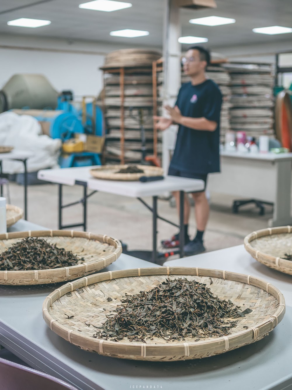 龍潭茶旅日記：擂茶、茶泡飯、平安絭，文化與美食一次滿足