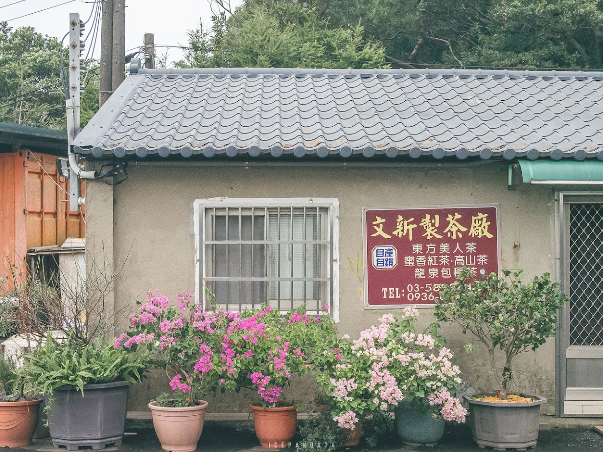 龍潭茶旅日記：擂茶、茶泡飯、平安絭，文化與美食一次滿足