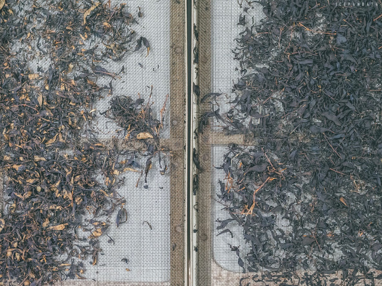 龍潭茶旅日記：擂茶、茶泡飯、平安絭，文化與美食一次滿足