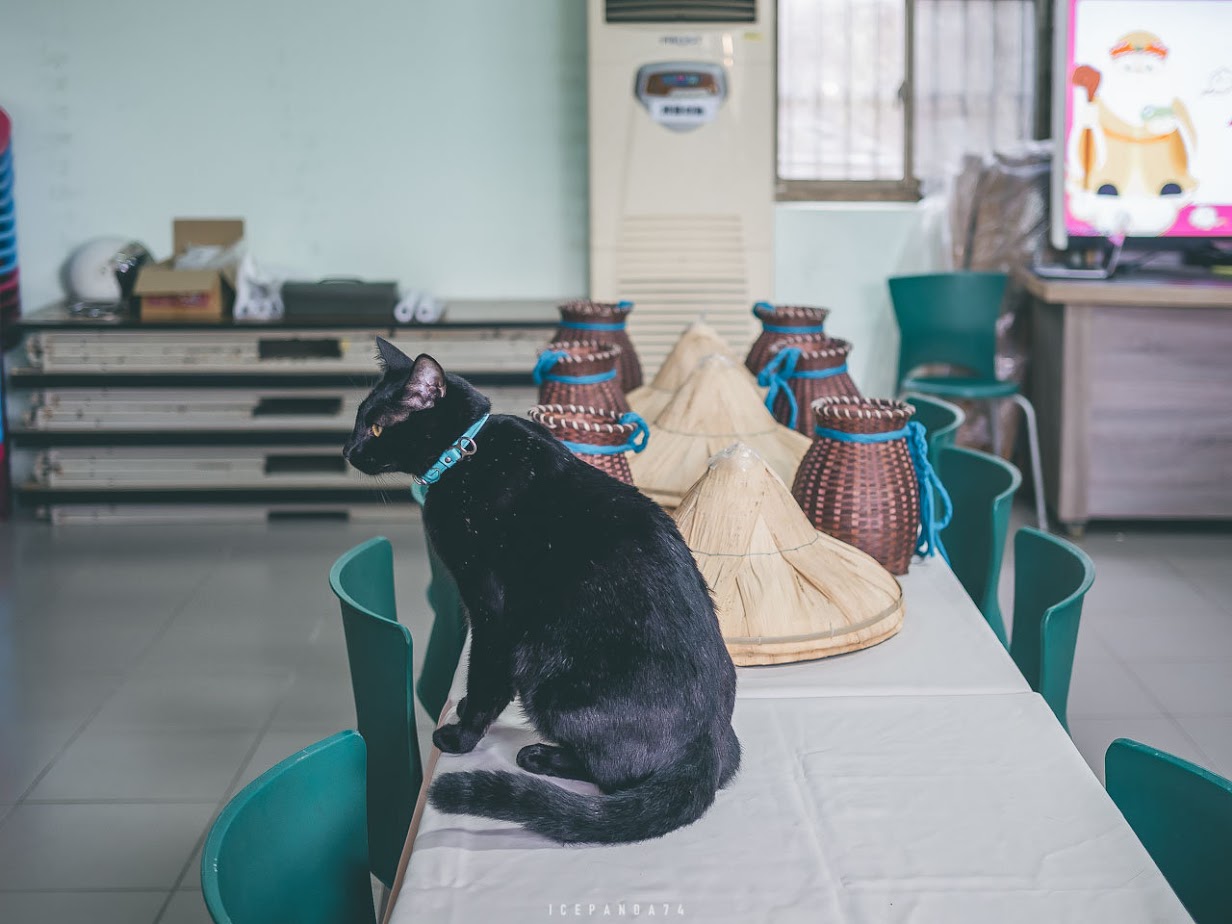 龍潭茶旅日記：擂茶、茶泡飯、平安絭，文化與美食一次滿足