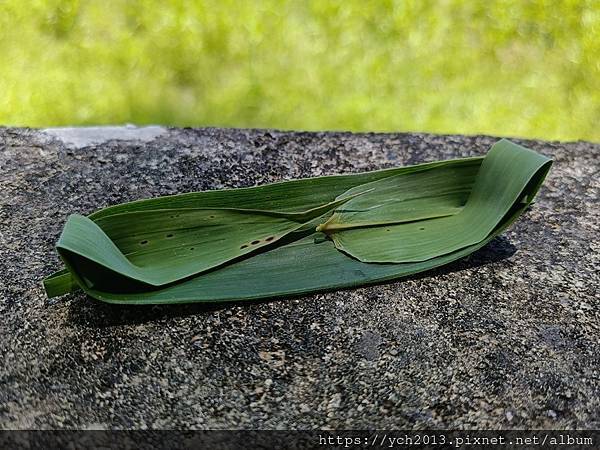 20250620壽豐壽農社區山下部落研習1