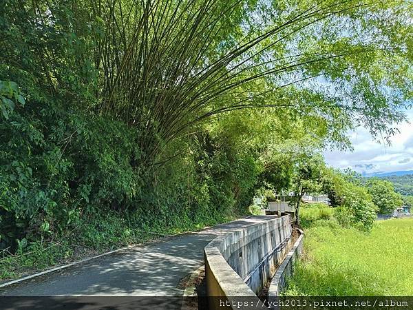 20250620壽豐壽農社區山下部落研習1