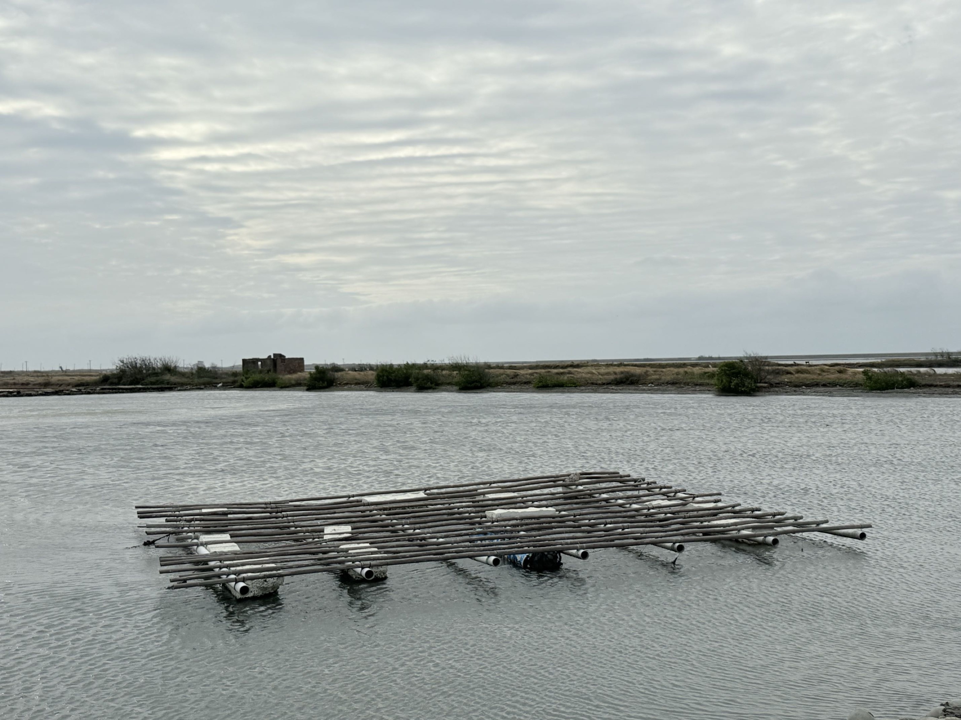 旅途中的幸福時光:台南。奇美。青鯤鯓扇形鹽田。午餐 阿月虱目魚粥。七股鹽山
