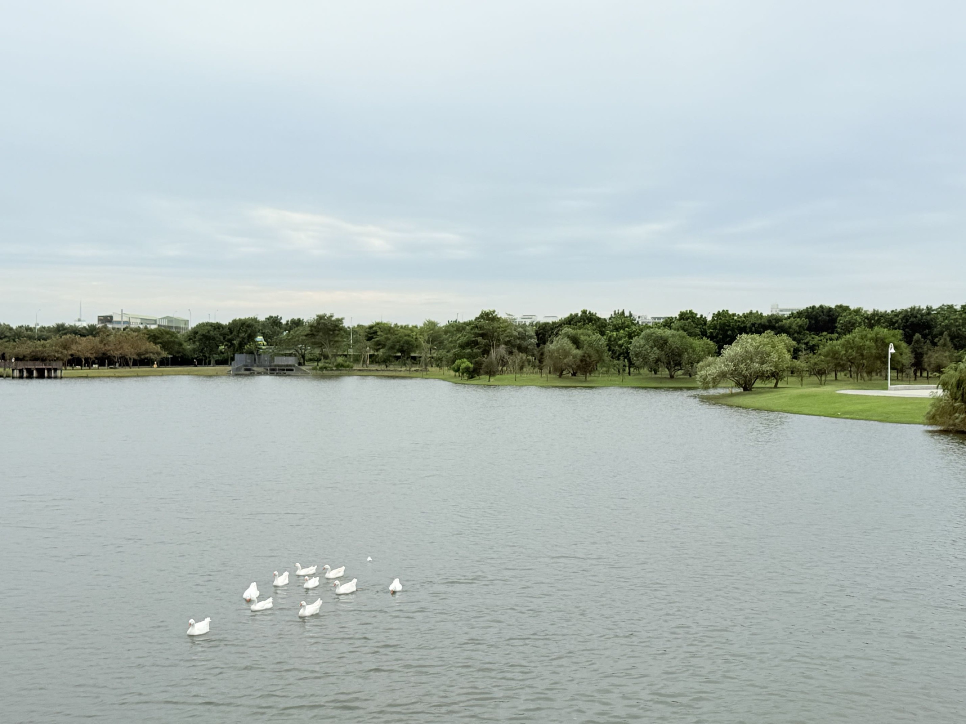 旅途中的幸福時光:台南。奇美。青鯤鯓扇形鹽田。午餐 阿月虱目魚粥。七股鹽山