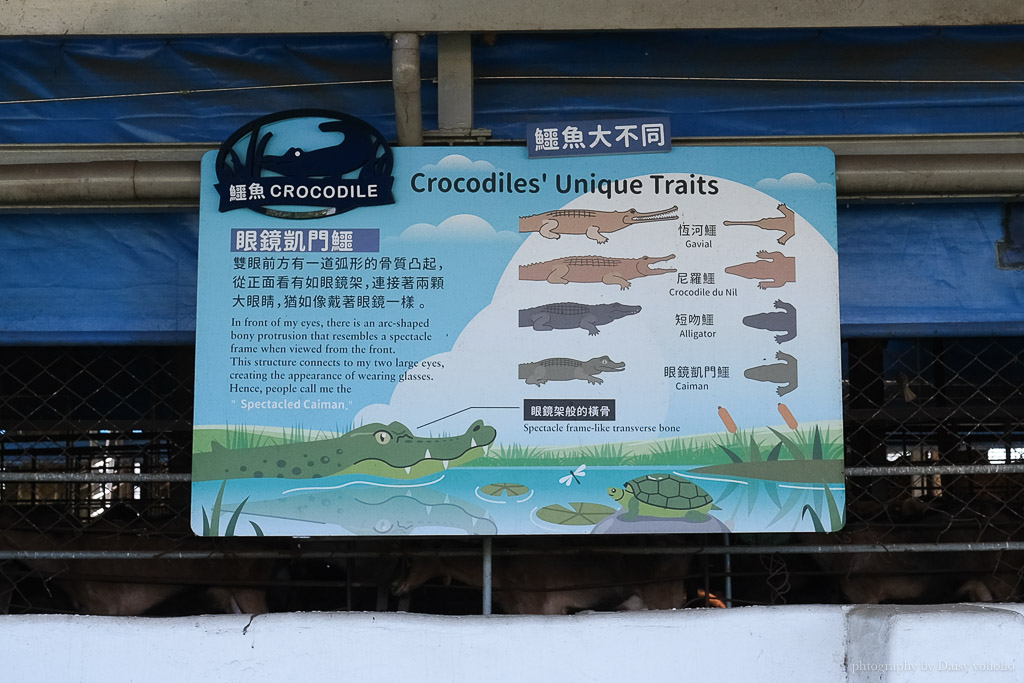 高雄橋頭親子景點「水流莊牧場」餵小羊、吃羊奶冰淇淋《羊奶失竊案》實境解謎好好玩!