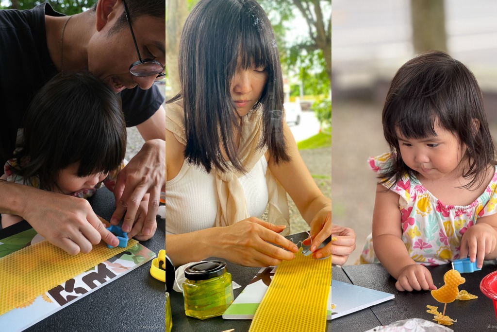 高雄阿蓮｜崗發蜂蜜養蜂人家，零距離與蜜蜂親密接觸！40年純天然蜂蜜自產自銷 @黛西優齁齁 DaisyYohoho 世界自助旅行/旅行狂/背包客/美食生活