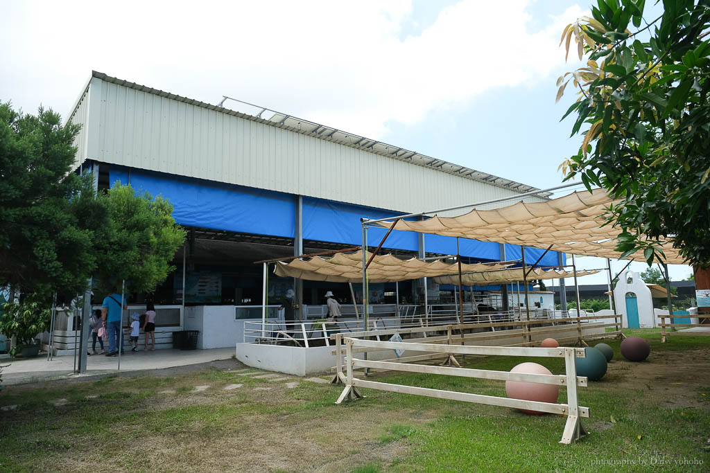 高雄橋頭親子景點「水流莊牧場」餵小羊、吃羊奶冰淇淋《羊奶失竊案》實境解謎好好玩!