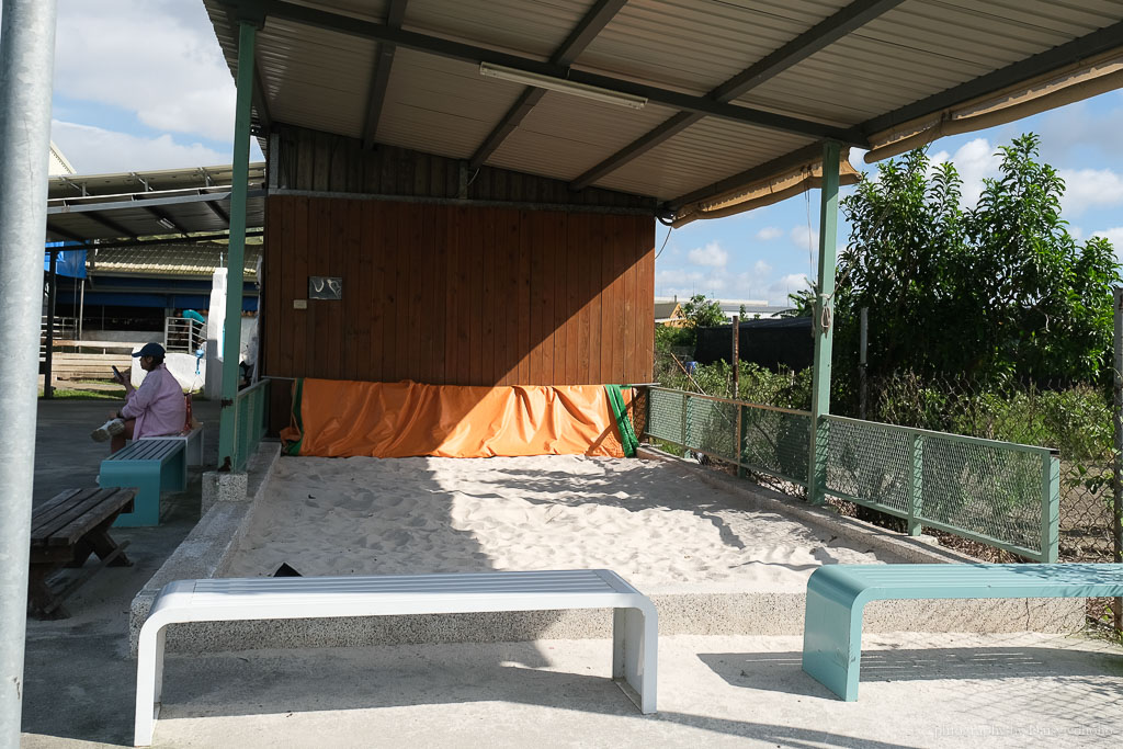 高雄橋頭親子景點「水流莊牧場」餵小羊、吃羊奶冰淇淋《羊奶失竊案》實境解謎好好玩!