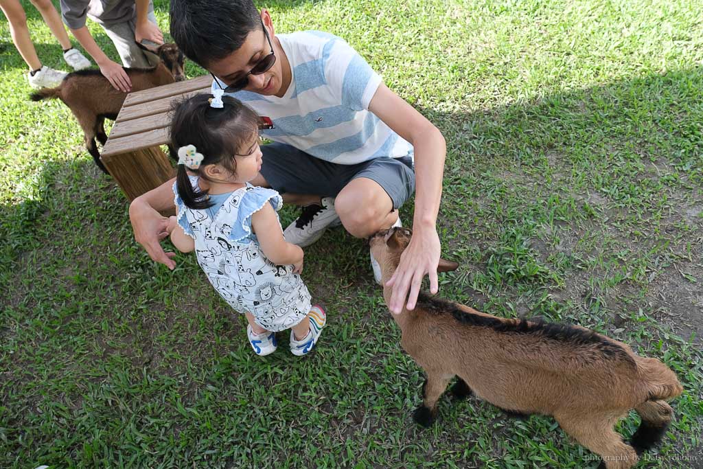 高雄橋頭親子景點「水流莊牧場」餵小羊、吃羊奶冰淇淋《羊奶失竊案》實境解謎好好玩!