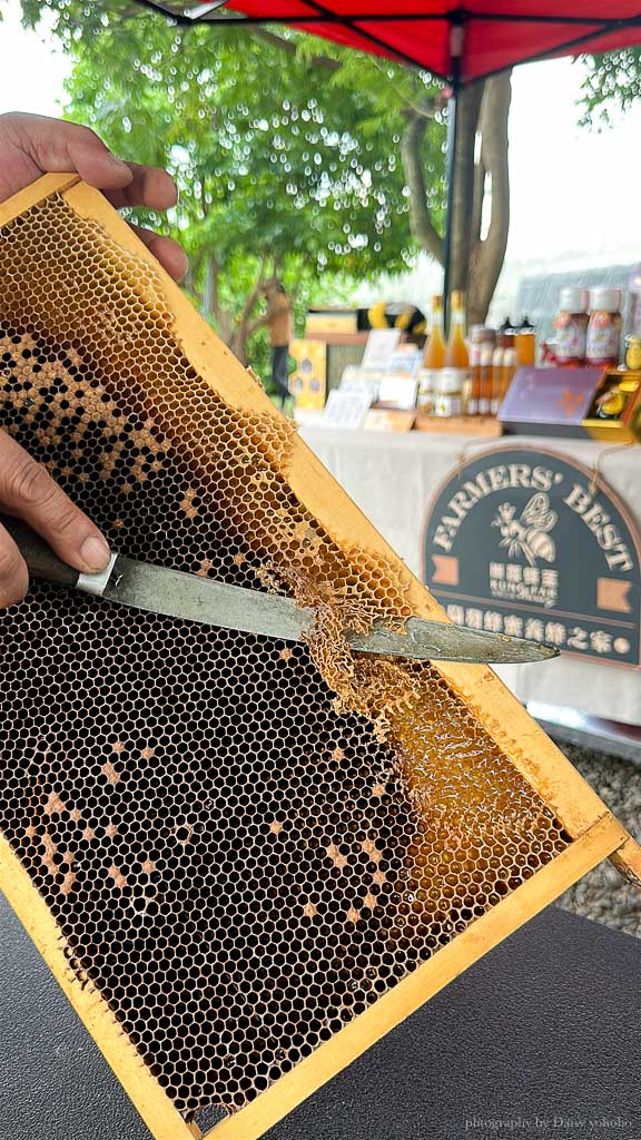 高雄阿蓮｜崗發蜂蜜養蜂人家，零距離與蜜蜂親密接觸！40年純天然蜂蜜自產自銷 @黛西優齁齁 DaisyYohoho 世界自助旅行/旅行狂/背包客/美食生活