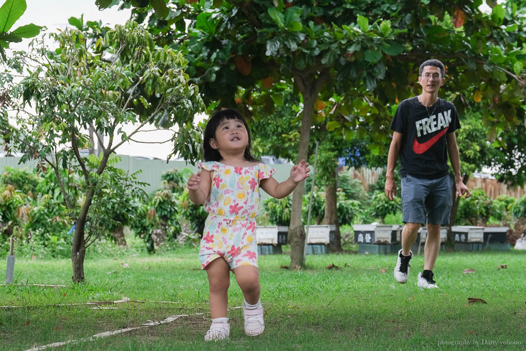 高雄阿蓮｜崗發蜂蜜養蜂人家，零距離與蜜蜂親密接觸！40年純天然蜂蜜自產自銷 @黛西優齁齁 DaisyYohoho 世界自助旅行/旅行狂/背包客/美食生活