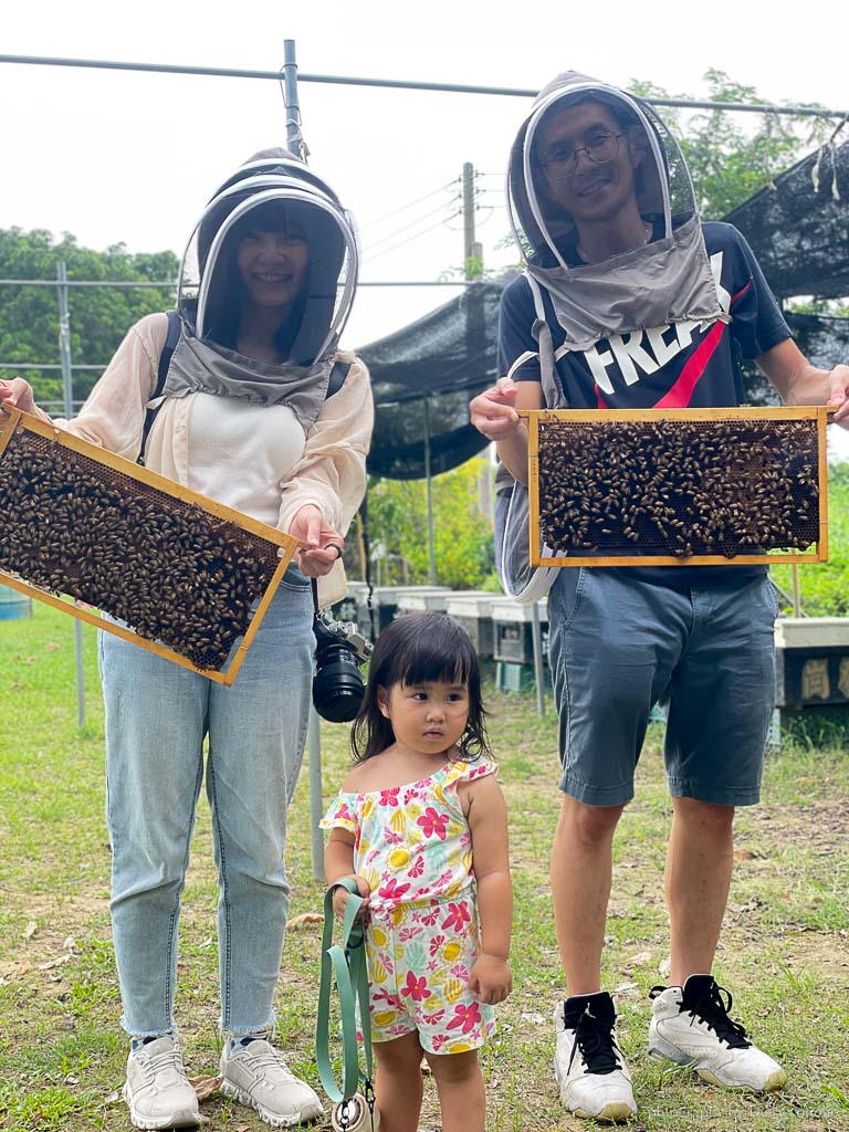 高雄阿蓮｜崗發蜂蜜養蜂人家，零距離與蜜蜂親密接觸！40年純天然蜂蜜自產自銷 @黛西優齁齁 DaisyYohoho 世界自助旅行/旅行狂/背包客/美食生活