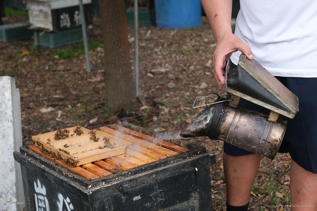 高雄阿蓮｜崗發蜂蜜養蜂人家，零距離與蜜蜂親密接觸！40年純天然蜂蜜自產自銷 @黛西優齁齁 DaisyYohoho 世界自助旅行/旅行狂/背包客/美食生活